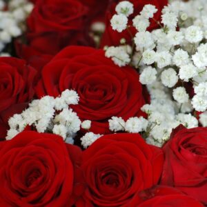 red roses, rose, beautiful flowers-4095761.jpg